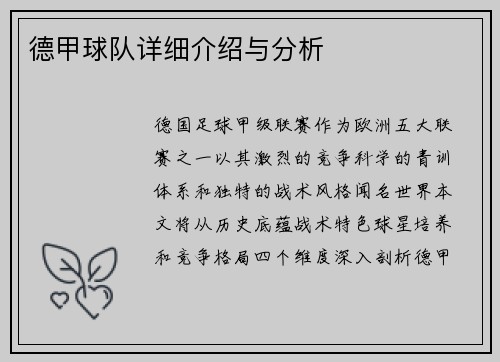 德甲球队详细介绍与分析